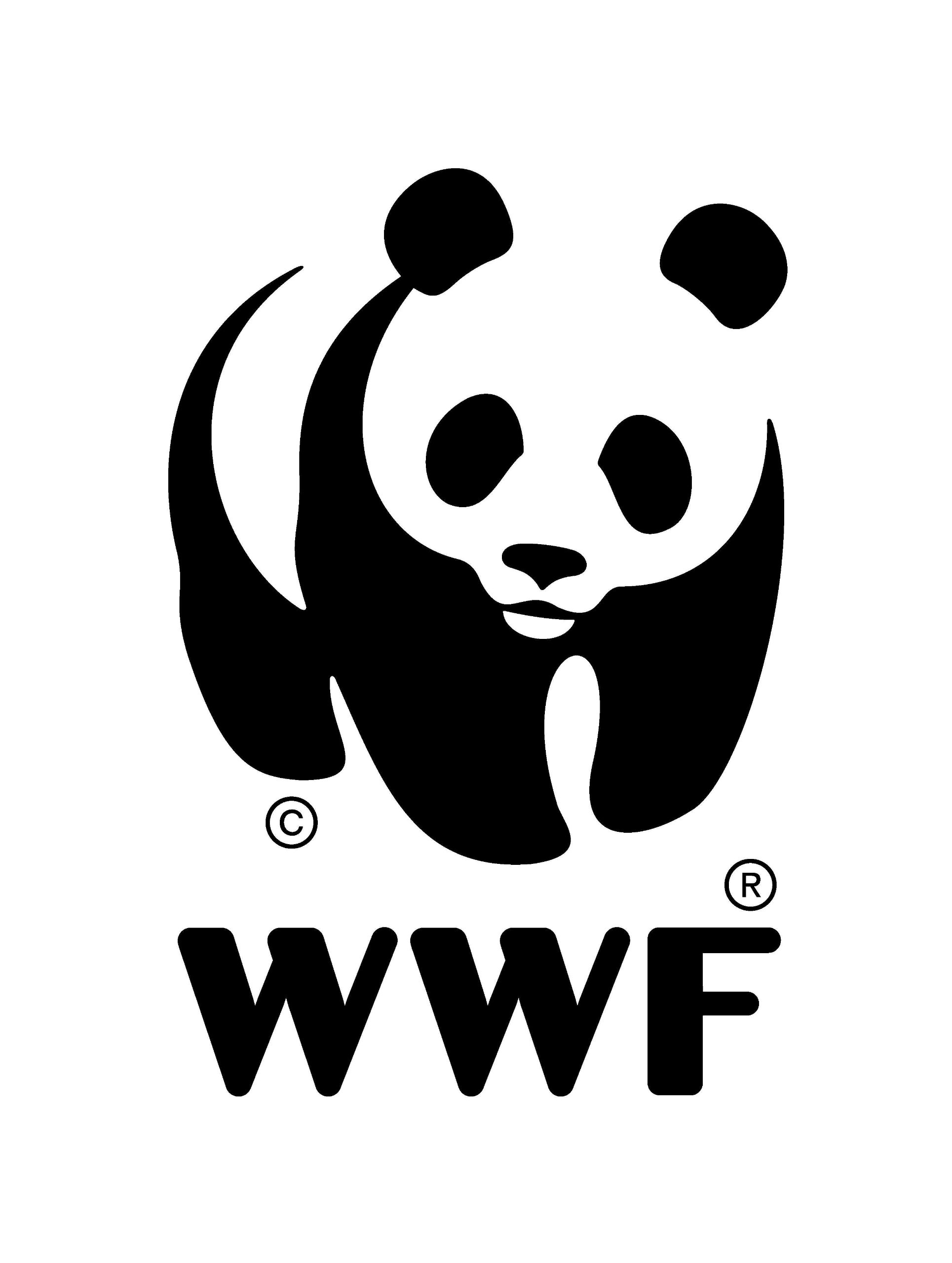 bankers-box-system-panda-archivbox-wei-10er-schnellfalt image 4