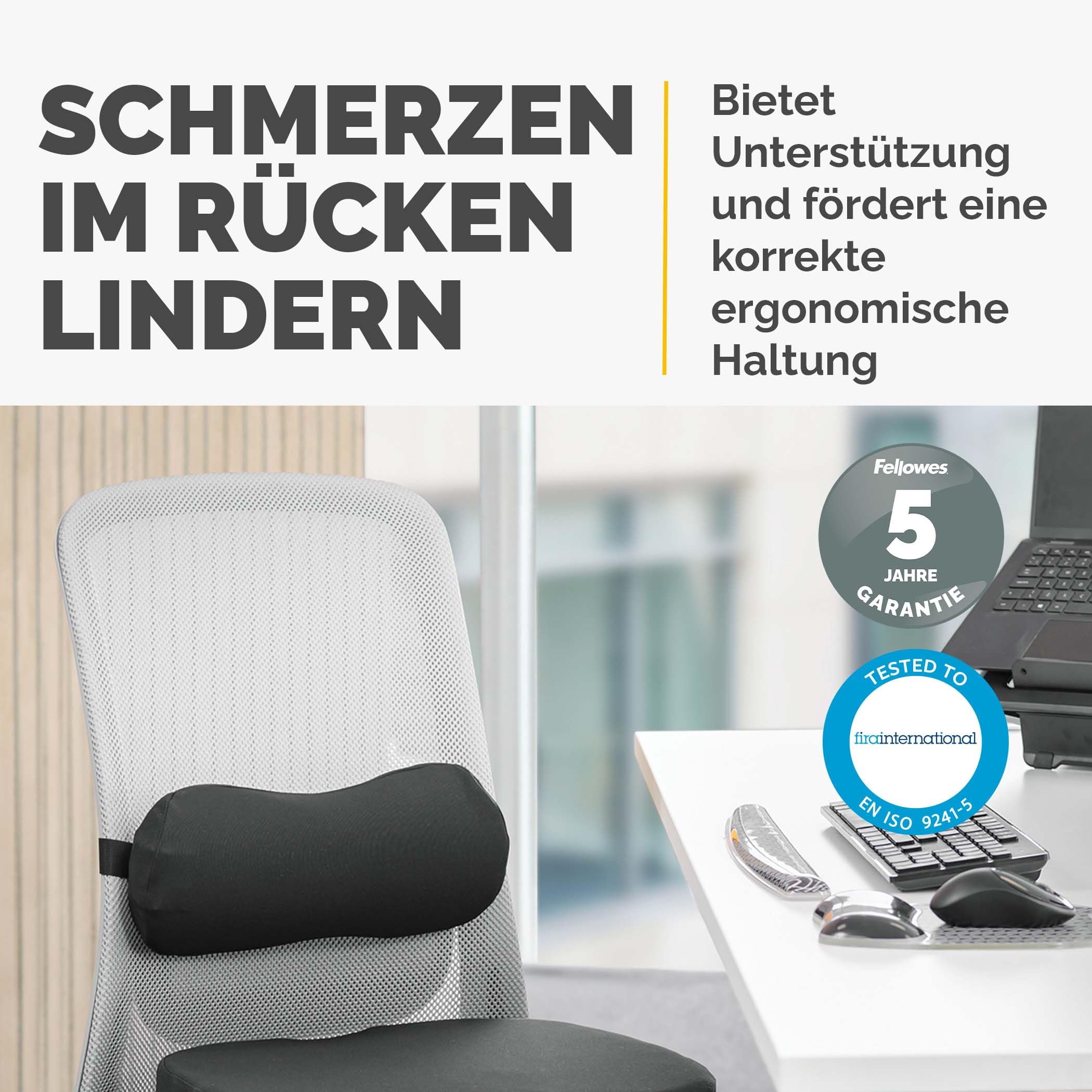 fellowes-breyta-lumbalkissen-r-ckenst-tze-mit-gurt-recycelt image 2