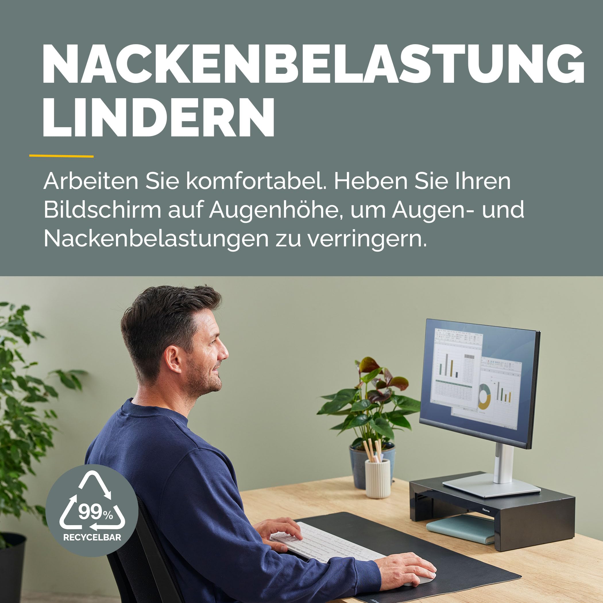 fellowes-everyday-plus-monitorst-nder-schwarz-18-kg-3-stufig image 2