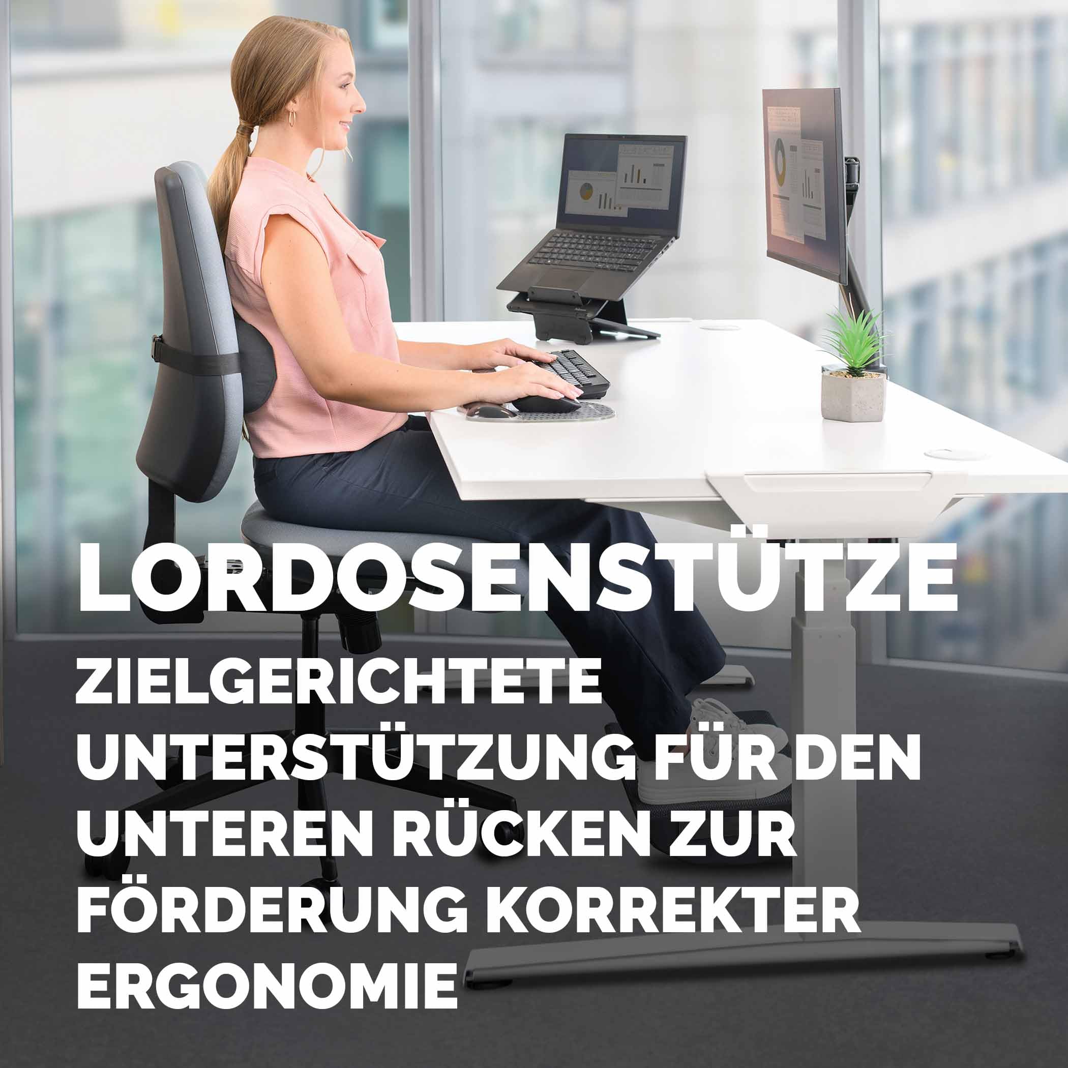 fellowes-breyta-lumbalkissen-r-ckenst-tze-mit-gurt-recycelt image 7
