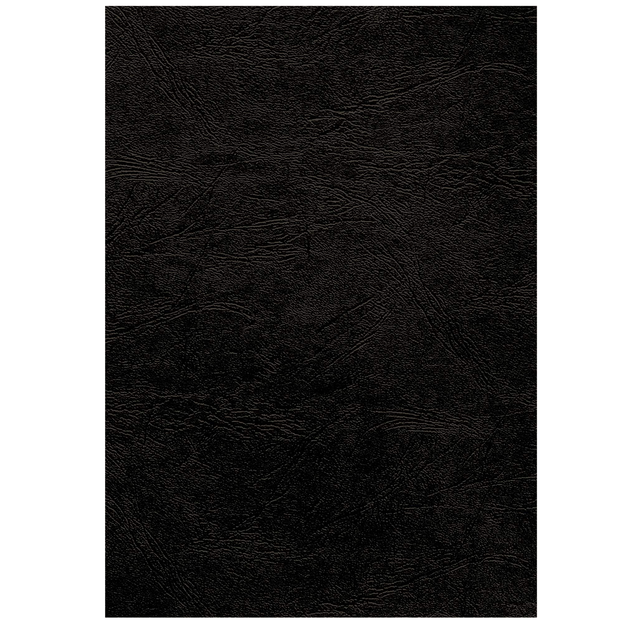 fellowes-delta-pr-sentationsdeckbl-tter-schwarz-250g-100-st-ck image 1