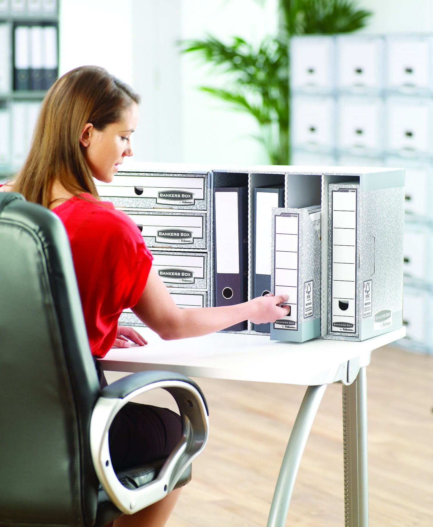 fellowes-r-kive-organizer-grau-wei-5er-archivsystem image 6