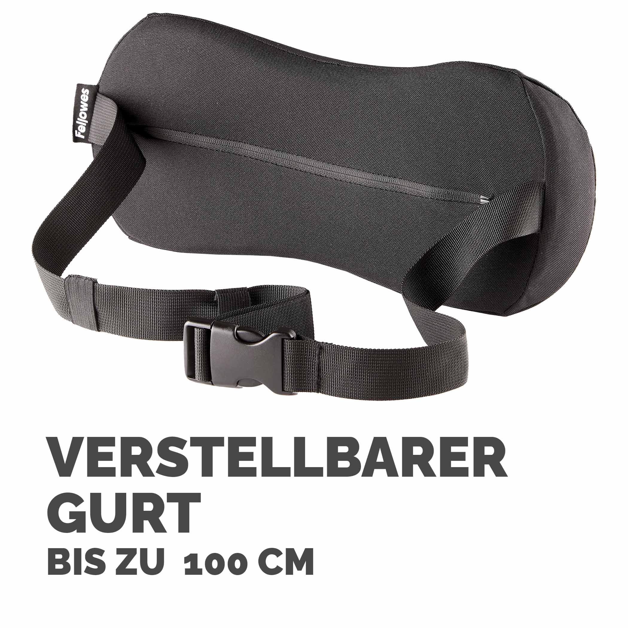 fellowes-breyta-lumbalkissen-r-ckenst-tze-mit-gurt-recycelt image 6